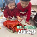 신화1호 | 매천시장 신화수산에서 랍스터/랍스타 쪄 온 후기