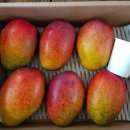 만민농원 이미지