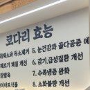어해랑왕코다리 아산탕정점