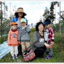 재민농장 이미지