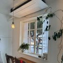 영동길 | [순천] 순천 옥리단길 카페 시즈너블 내돈내산 후기