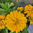 이천서씨 묘 | (강서‧부천)공조판서 변종인 묘‧서서울 호수공원-밀양변씨-