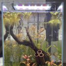 가보자칼수만 이미지