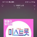 가은미트 이미지