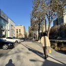 코어소프트 | 실루엣소프트 리프팅 통증 효과 등 얼굴볼륨 시술 후기 (볼꺼짐 개선)