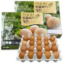 한스팜 이미지