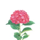 화실회관 - 1550 | 화실회관