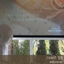필름더데이즈 | 더데이즈 필름/ 돌잔치 성장동영상, 엄마표 셀프 커스텀으로 감동 두배 성장동영상 후기!