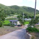 용산마을진입로 이미지