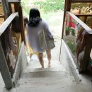 캠프M817 이미지