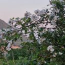 필부동산중개 이미지