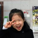 목포시민문화체육센터 공연장 Daum카페