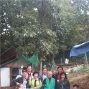 파주흑염소농장 이미지