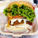 주식회사 올림픽호텔 | 창원 수제버거 맛집, 홀리베어버거 창원중앙점 솔직 후기