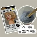 눈썹탈색 다이소 내돈내산 후기 + 시간 얼마?