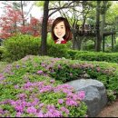 서해명가공인중개사사무소 이미지