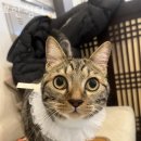 묘한쉼터 이미지