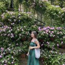 점핑썬 | [다낭] 2일차 ② : 썬월드 바나힐_문킹덤 알파인코스터/선킹덤 프렌치빌리지/브래서리 이탈리아식당...