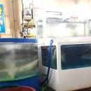 뉴해모수 이미지