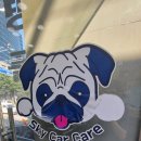 스카이카서비스 이미지