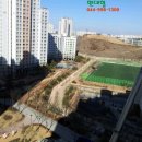 첫마을6단지617동옆 이미지