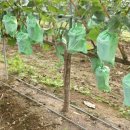 샤인공인중개사사무소 이미지