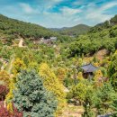 삼선산수목원 숲속도서관 이미지