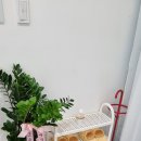 동탄감배산로 이미지