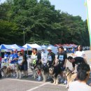 애견이야기 이미지