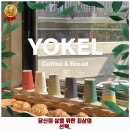 주월1동 애견카페 요켈샐러드 방림점 후기 좋았던 곳 추천되는 이유는 가격과 리뷰가 좋기 때문이죠
