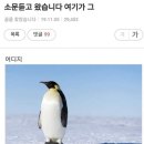 뇌 따윈 없어 보이겠지만 다들 고민 있겠지