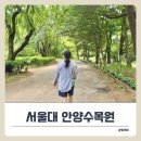 서울대학교(자연과학대) - 8241 | 서울대 안양수목원 58년 만에 상시 개방, 예약하고 다녀온 솔직 후기