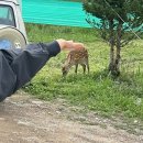 NR-1[경수대로]-하-38 | 게르마늄 팔찌가 차다.