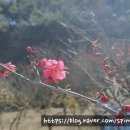 청명보청기센터 이미지