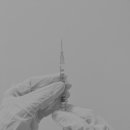 울산 남구 어르신 노인 폐렴구균 독감 예방 접종 지정 병원
