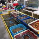 수산가옥 | 딱 한 달! 봄 제철 음식 실치 회 먹으러 당진 장고항 수산물유통센터 내돈내산 후기 (feat.민영이네수산)