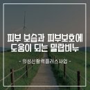 이공가