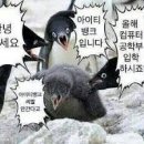 퍼스트소프트웨어 이미지