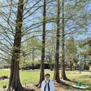 남한강공인중개사사무소 이미지