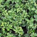 학이농장 이미지