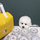 우월한 탄산 이미지