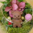 반려식물 테라리움 만들기 이미지