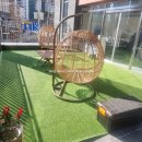 자연앤동물병원 미용실 | 부산 서구 대신동 미용실 다올헤어 염색 컷트 솔찍 후기