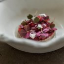 스타레스토랑(STAR RESTAURANT) 이미지