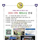#DOG 이미지