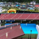 새천년펜션 이미지