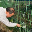 덕과면 양선마을 이미지