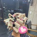 미장모수 | 증평 미용실 히피펌 자유로운 웨이브 완성한 미장모수 솔직 후기