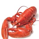 Q대를넘어서 이미지