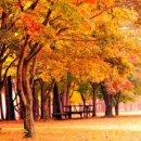 호중목장 이미지